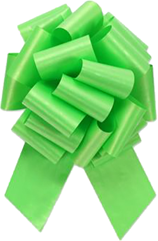 ídraganleg slaufa vörunr. PF9-19